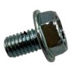 Northern Lights NL-131236280 Screw For M773LK Generators