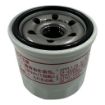 Northern Lights NL-119305-35170 Oil Filter Assembly